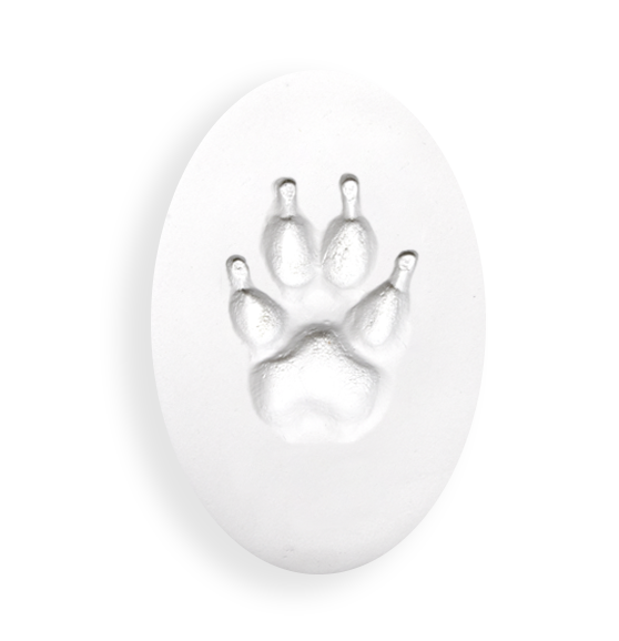 Clay Paw Print-image